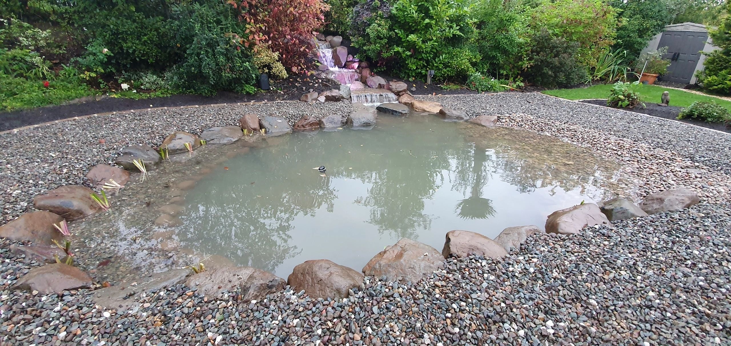 Serenity Water Features project — garden pond
