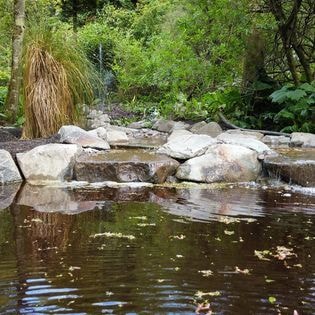 Serenity Water Features project — natural pond